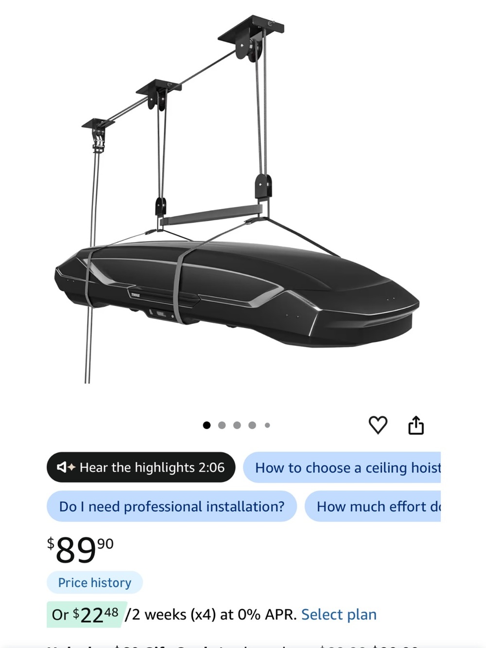 Black Roof Cargo Box with Ceiling Hoist System